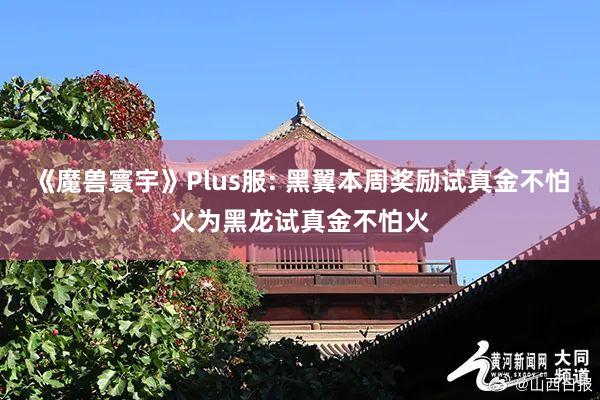 《魔兽寰宇》Plus服: 黑翼本周奖励试真金不怕火为黑龙试真金不怕火