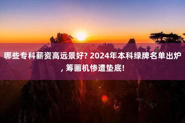 哪些专科薪资高远景好? 2024年本科绿牌名单出炉, 筹画机惨遭垫底!