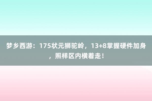 梦乡西游：175状元狮驼岭，13+8掌握硬件加身，照样区内横着走！