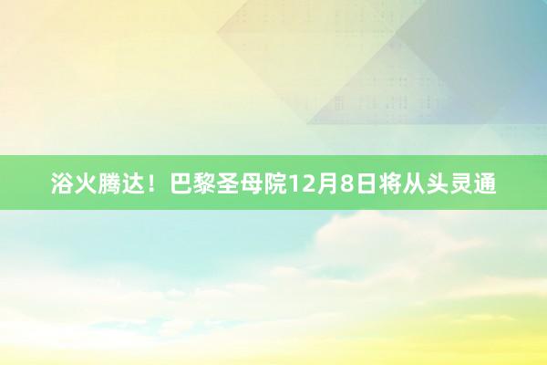 浴火腾达！巴黎圣母院12月8日将从头灵通