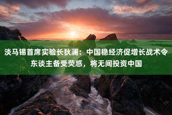 淡马锡首席实验长狄澜：中国稳经济促增长战术令东谈主备受荧惑，将无间投资中国