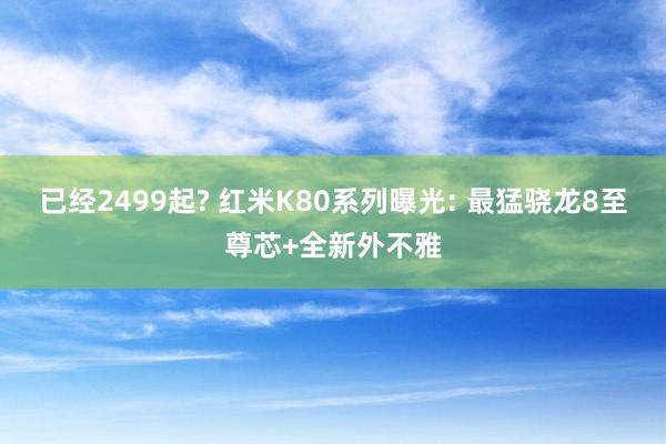 已经2499起? 红米K80系列曝光: 最猛骁龙8至尊芯+全新外不雅