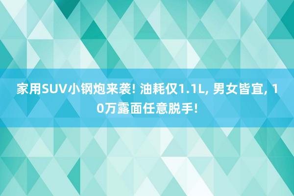 家用SUV小钢炮来袭! 油耗仅1.1L, 男女皆宜, 10万露面任意脱手!